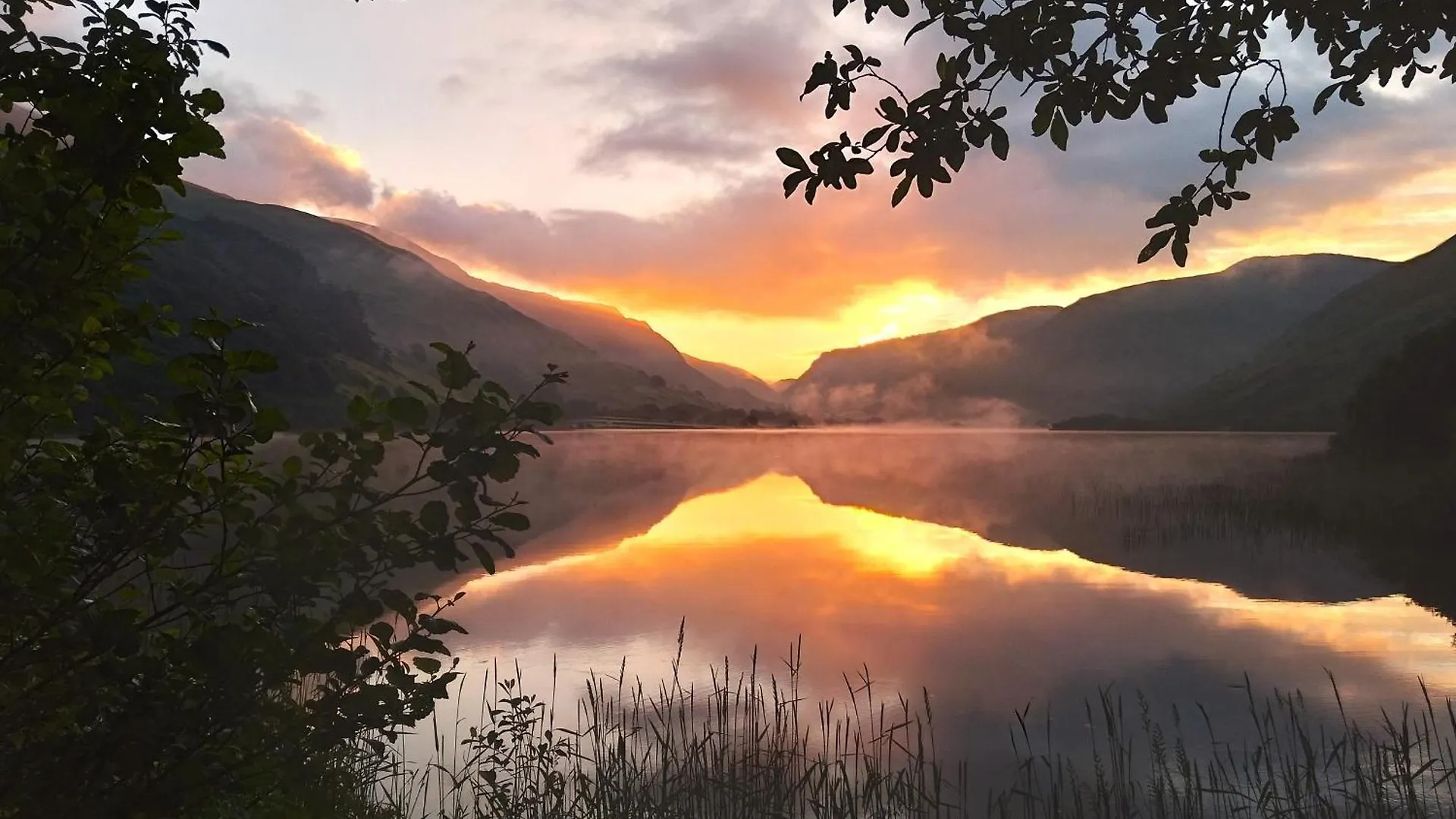 6 Central Hotels Near Dolgoch Falls Worth Booking