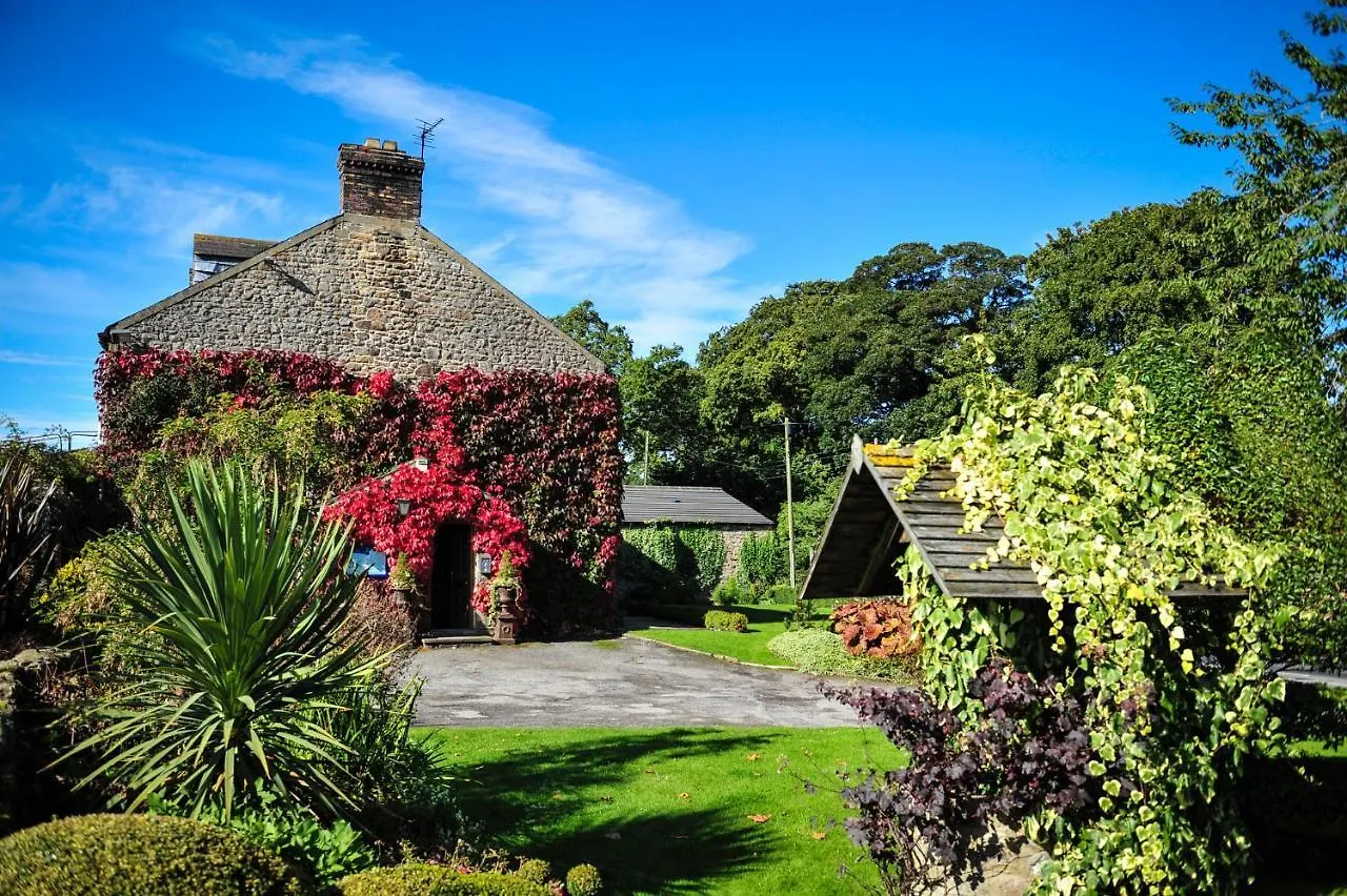 5 Smart 4-Star Hotels Near Forbidden Corner Worth Booking